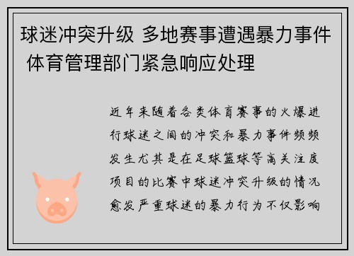 球迷冲突升级 多地赛事遭遇暴力事件 体育管理部门紧急响应处理